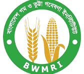 bwmriseedapplicaation